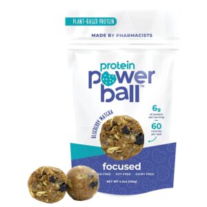 Protein Balls by Protein Power Ball | On-The-Go Protein Snacks | Gluten Free, Dairy Free, Soy Free Snack | High Protein Energy Bites (Blueberry Matcha, 1 Pack)